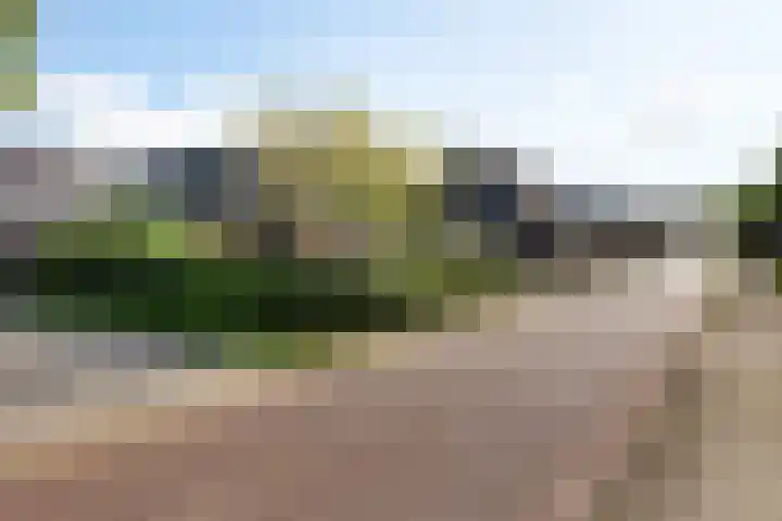Wjuk 24 Ternaard thumbnail 36