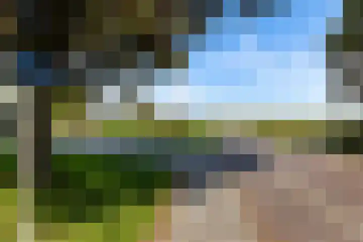 Wjuk 24 Ternaard thumbnail 37