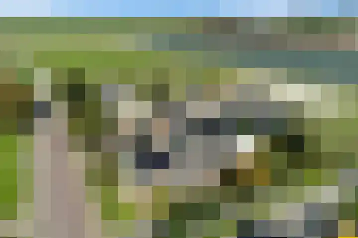 Wjuk 24 Ternaard thumbnail 38