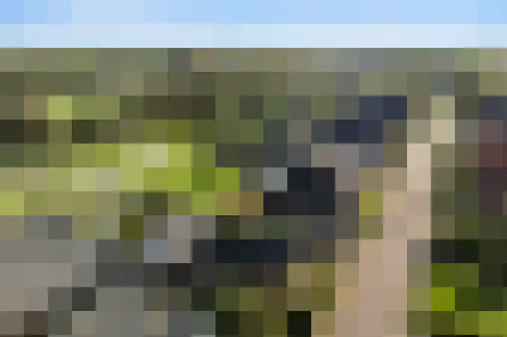 Wjuk 24 Ternaard thumbnail 39