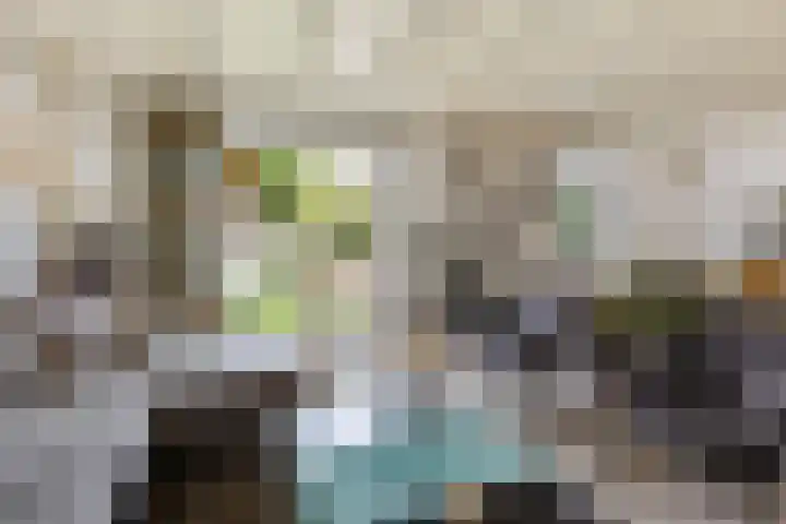 Wjuk 24 Ternaard thumbnail 4