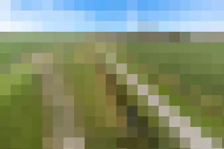 Wjuk 24 Ternaard thumbnail 40