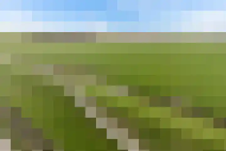Wjuk 24 Ternaard thumbnail 41
