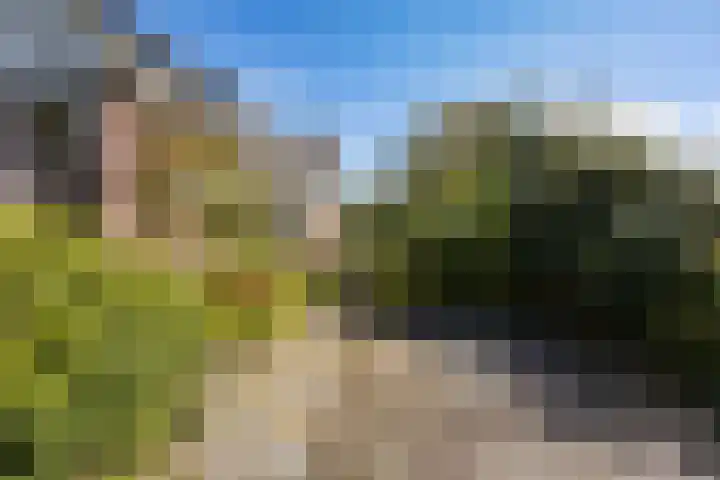 Wjuk 24 Ternaard thumbnail 5