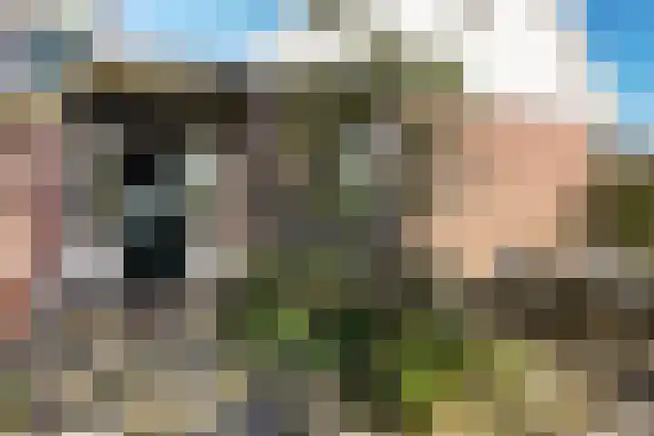 Wjuk 24 Ternaard thumbnail 6