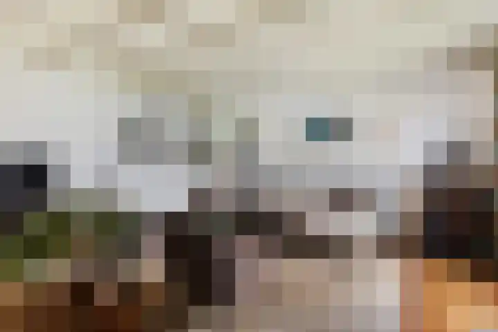 Wjuk 24 Ternaard thumbnail 9