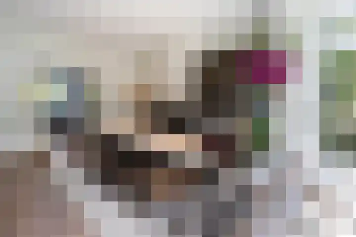 Wladimirlaan 14 Bussum thumbnail 12