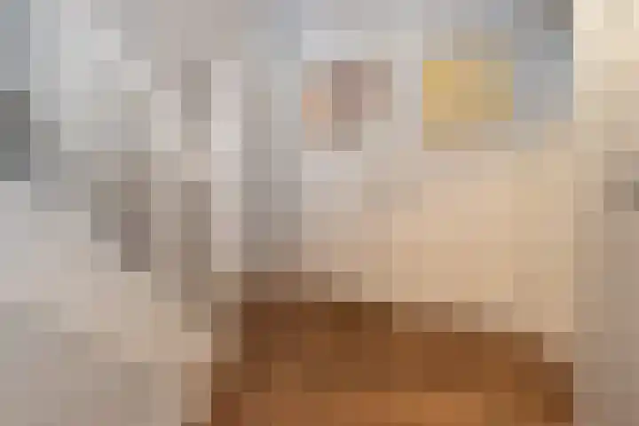 Wladimirlaan 14 Bussum thumbnail 16
