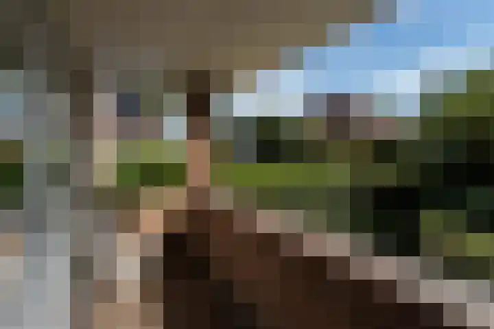Wladimirlaan 14 Bussum thumbnail 18