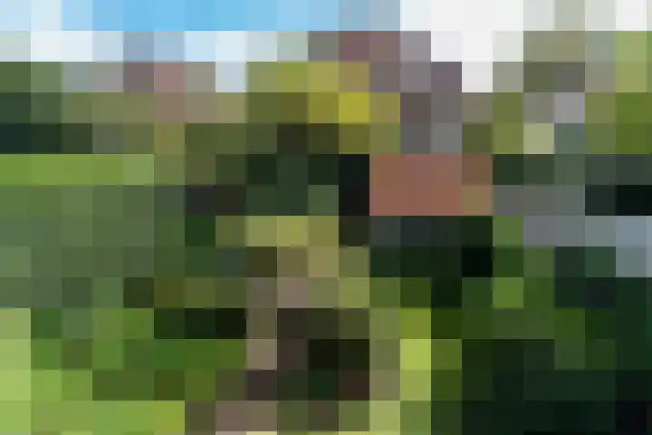 Wladimirlaan 14 Bussum thumbnail 27