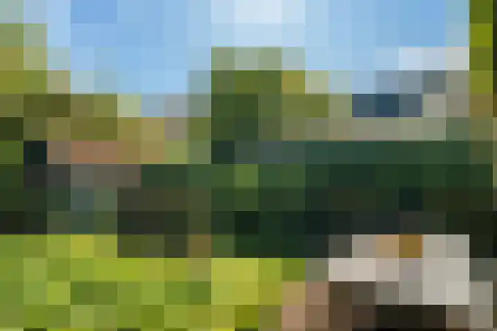 Wladimirlaan 14 Bussum thumbnail 29