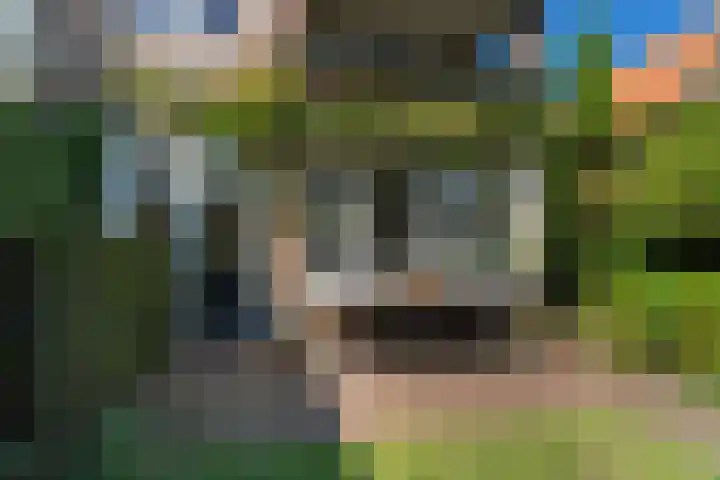 Wladimirlaan 14 Bussum thumbnail 31