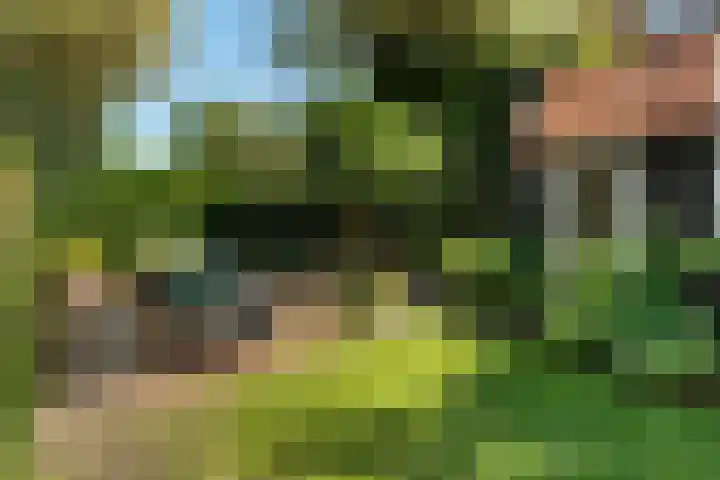 Wladimirlaan 14 Bussum thumbnail 32