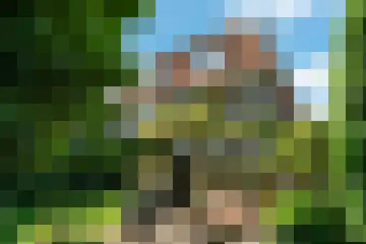 Wladimirlaan 14 Bussum thumbnail 34