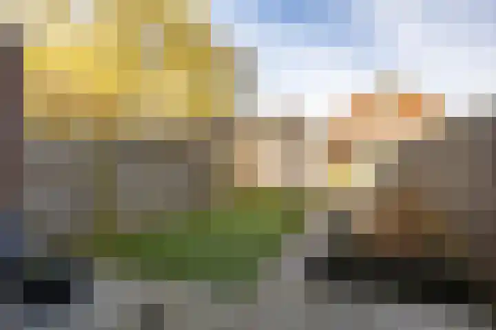 Wobbe Hendrik Alkemastraat 59 Groningen thumbnail 41