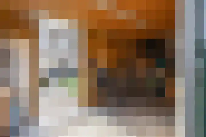 Wobbe Hendrik Alkemastraat 59 Groningen thumbnail 43