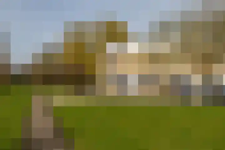 Wobbe Hendrik Alkemastraat 59 Groningen thumbnail 47