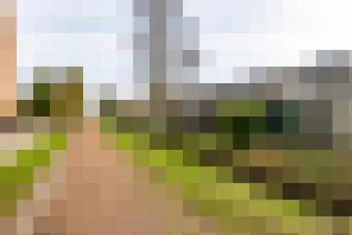 Wobbe Hendrik Alkemastraat 59 Groningen thumbnail 49