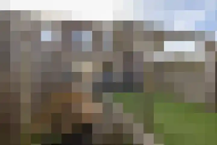 Wobbe Hendrik Alkemastraat 59 Groningen thumbnail 5