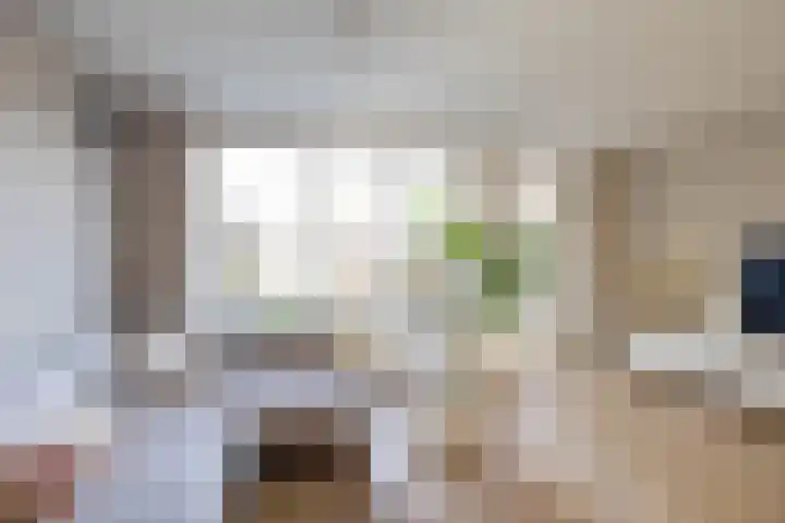 Wobbe Hendrik Alkemastraat 59 Groningen thumbnail 8
