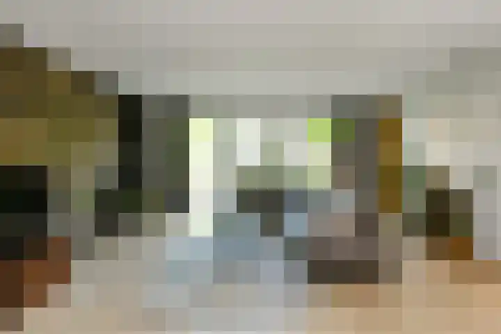 Wodan 36 Elst thumbnail 10