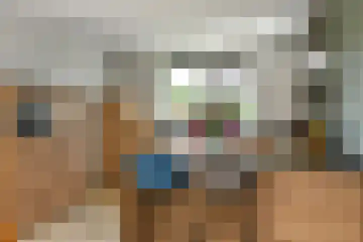 Wodan 36 Elst thumbnail 16