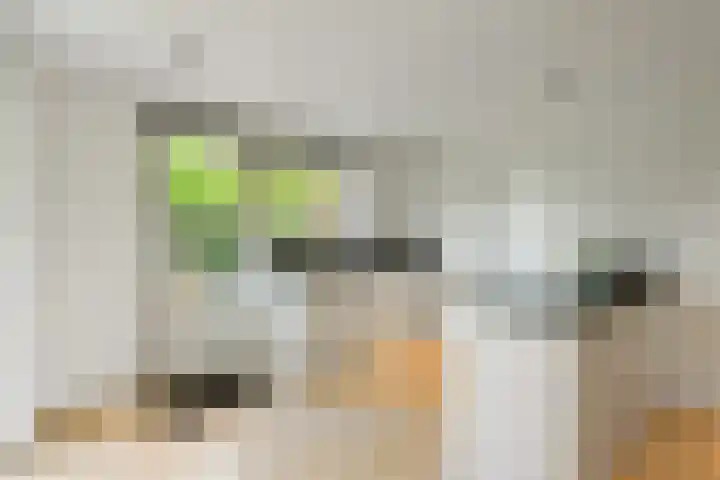 Wodan 36 Elst thumbnail 23