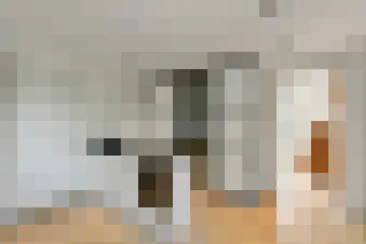Wodan 36 Elst thumbnail 24