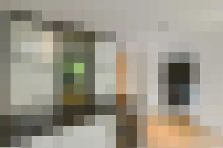 Wodan 36 Elst thumbnail 26