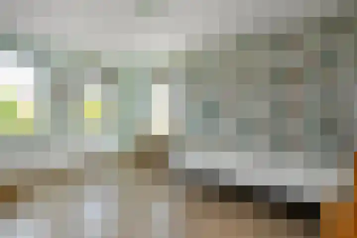 Wodan 36 Elst thumbnail 28