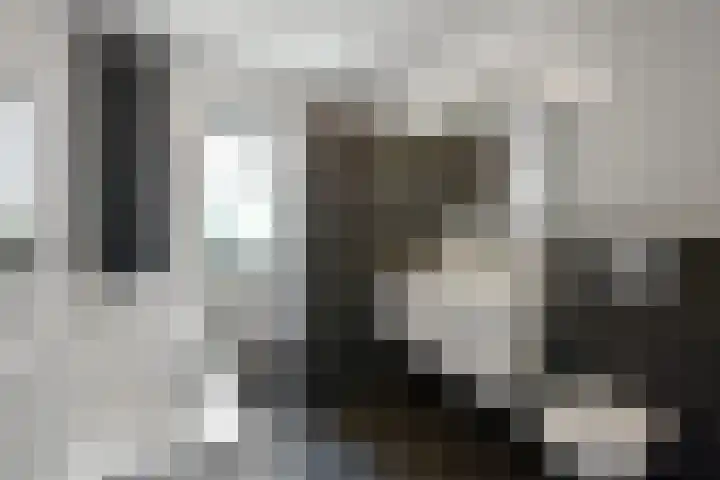 Wodan 36 Elst thumbnail 33