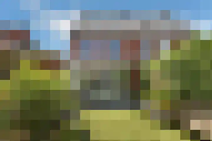 Wodan 36 Elst thumbnail 43
