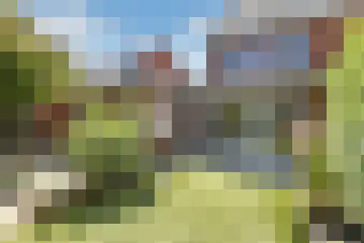 Wodan 36 Elst thumbnail 44