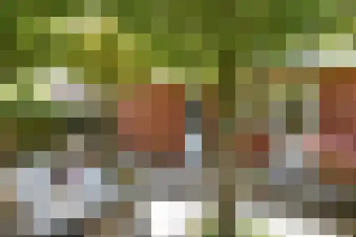 Wodan 36 Elst thumbnail 46