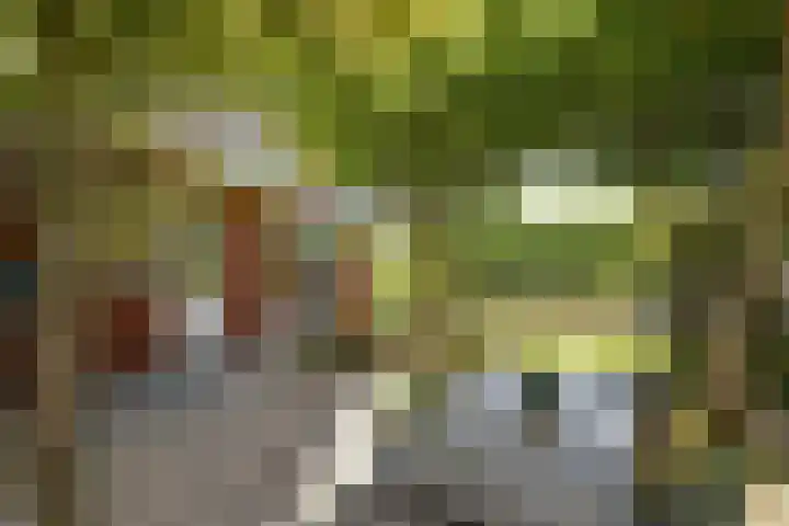Wodan 36 Elst thumbnail 47