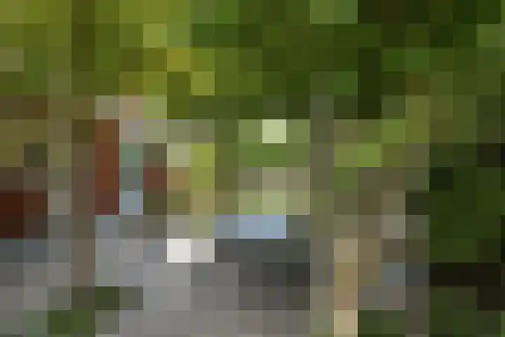 Wodan 36 Elst thumbnail 48