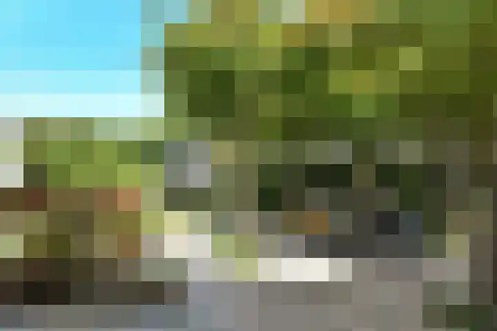 Wodan 36 Elst thumbnail 49