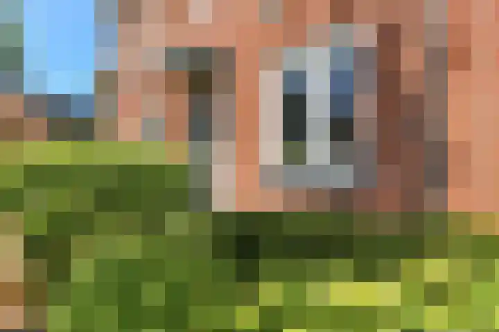 Wodan 36 Elst thumbnail 5