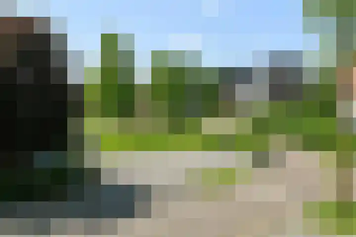 Wodan 36 Elst thumbnail 52