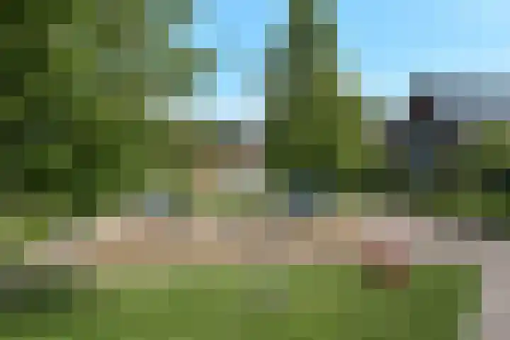 Wodan 36 Elst thumbnail 53