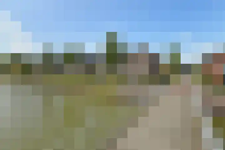 Wodan 36 Elst thumbnail 55