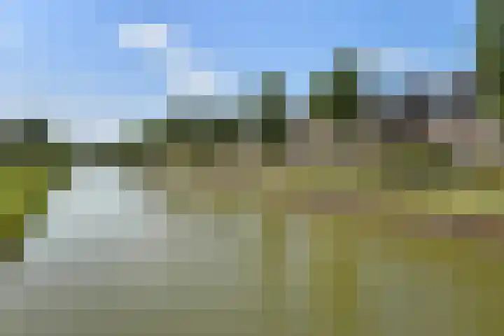 Wodan 36 Elst thumbnail 56