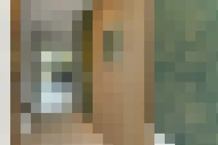 Wodan 36 Elst thumbnail 6