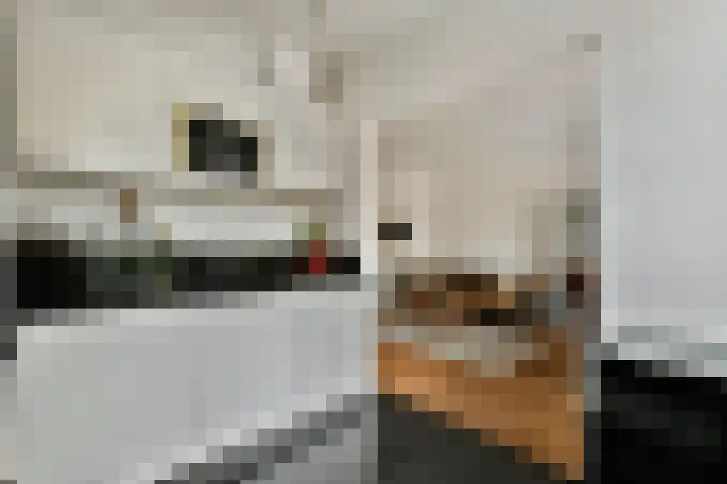 Wodanstraat 12 1 Amsterdam thumbnail 10