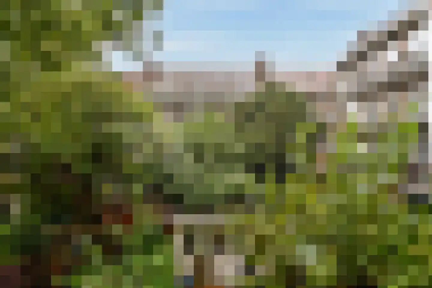 Wodanstraat 12 1 Amsterdam thumbnail 14