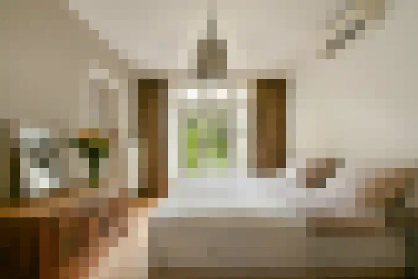 Wodanstraat 12 1 Amsterdam thumbnail 15