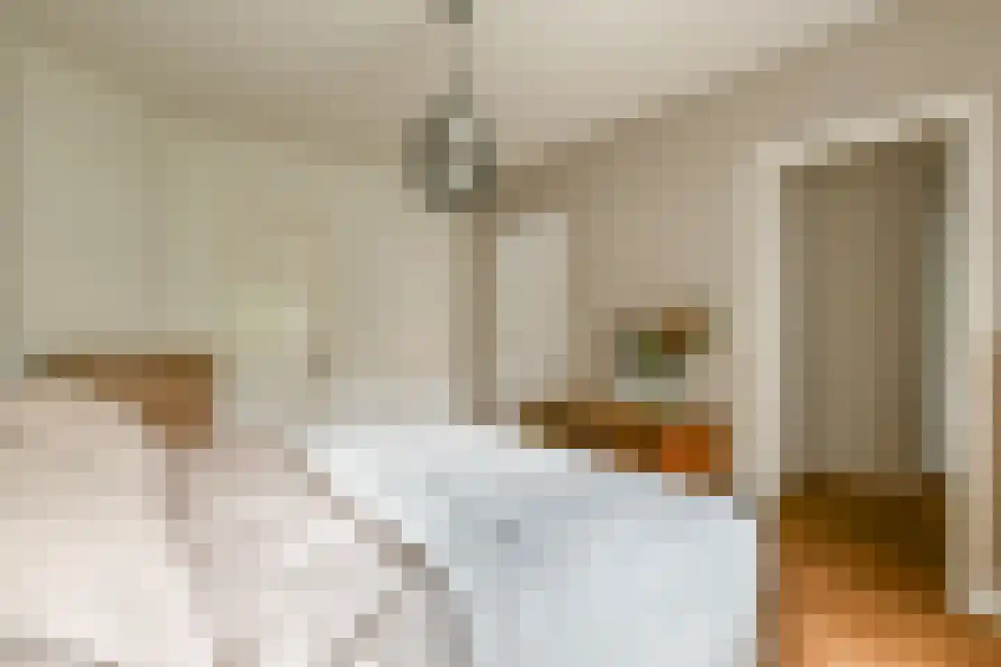 Wodanstraat 12 1 Amsterdam thumbnail 16