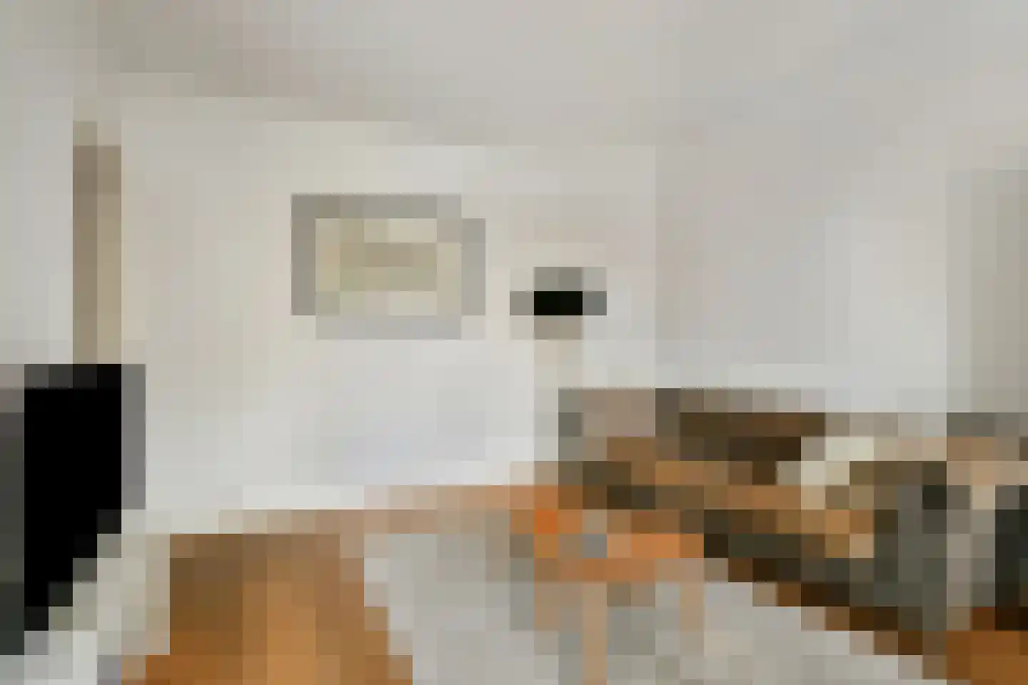 Wodanstraat 12 1 Amsterdam thumbnail 6