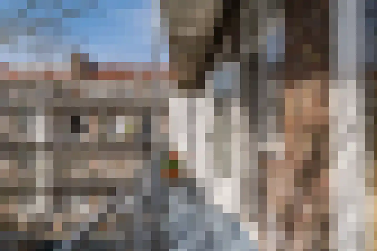 Wodanstraat 14 3 Amsterdam thumbnail 17