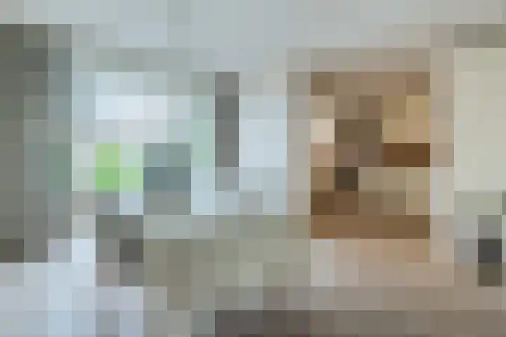 Woekeven 49 Heemskerk thumbnail 12
